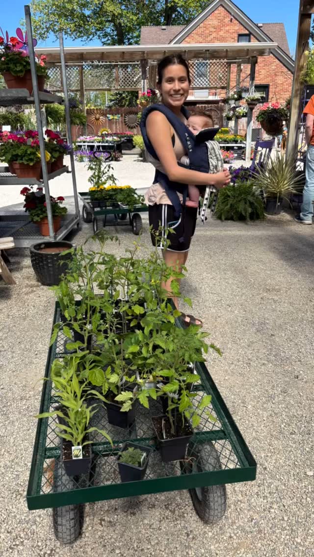 It was another beautiful Mother’s Day at Massab Acres Greenhouse!
We were honored to share in so many joyful moments — from first Mother’s Day celebrations to smiles that stretched from ear to ear. I felt incredibly grateful to spend the day working alongside my kiddos and meeting all the amazing moms who chose to spend part of their day with us.
A special shoutout to all the young visitors who came in solo to pick out something thoughtful for their moms — it truly melted my heart. It just goes to show… it really does take a village to raise a child.
Thank you for letting us be part of your special day.
Happy Mother’s Day to all!
#MassabAcresGreenhouse #MothersDayMagic #GratefulHeart #FamilyBusinessLove #ItTakesAVillage #GreenhouseJoy #FirstMothersDay #SmilesForMom #SupportLocal #MothersDayVibes