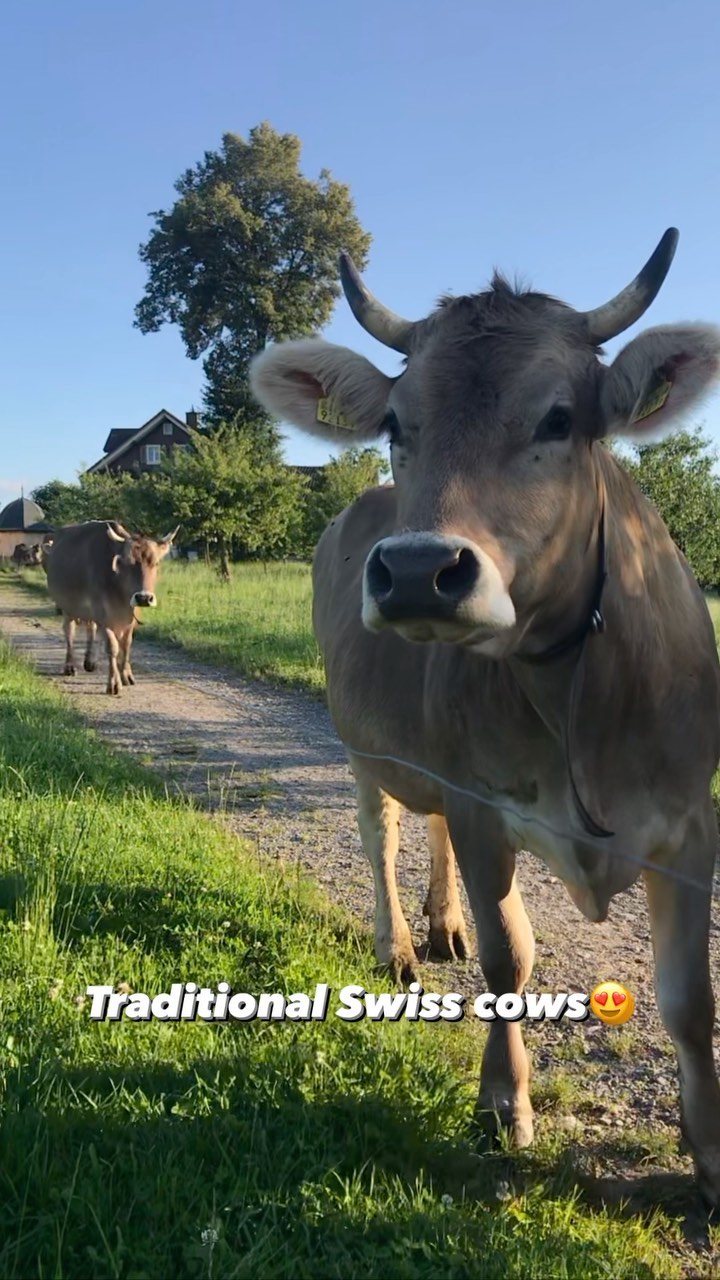 They look like they‘ve put makeup on😍