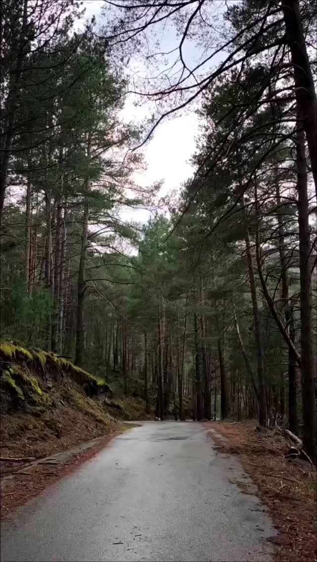 Paramos y miramos atrás.
Meses de tallers y plantaciones.
Locura y felicidad.
Todo a la vez.
✨💚🌱🌳
#creadorasdebosques
#mujeresconectadas
#conectadasalatierra