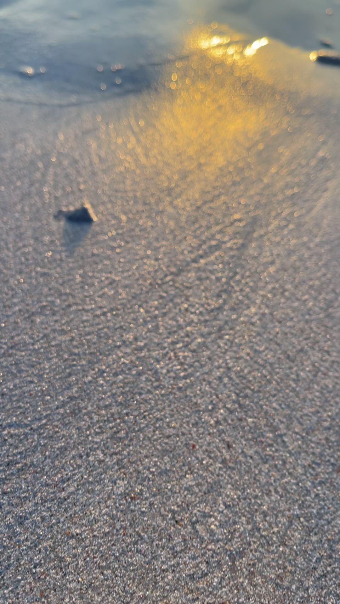 Wow…. Thank you! Easter you were awesome! Family, friends and over indulging in all of that and chocolate and hot cross buns were the flavour. Mother Nature certainly helped make it amazing. Please travel safe if you’re on the roads tomorrow! 🐰❤️