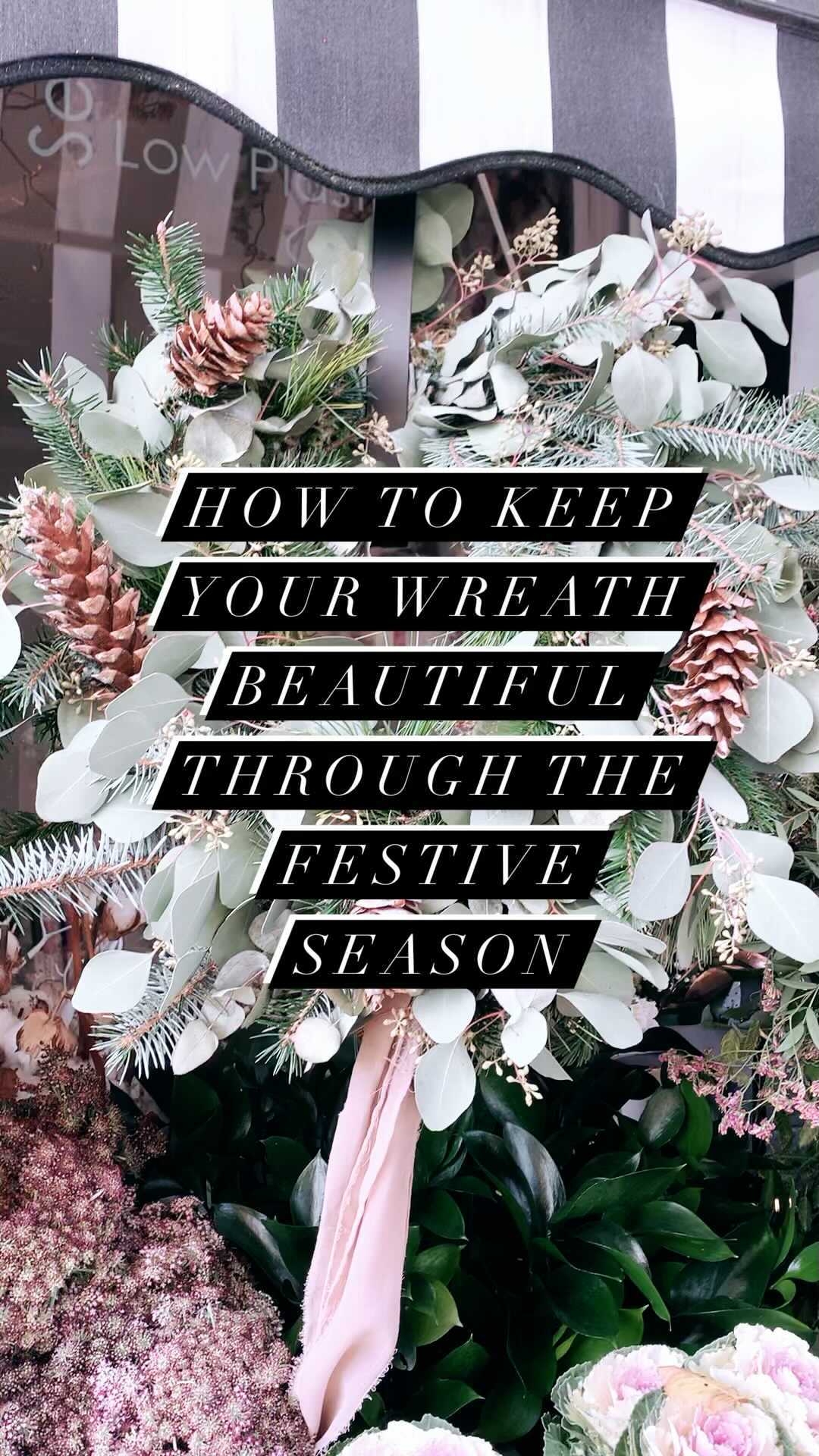 How to keep your festive wreath fabulous all season.