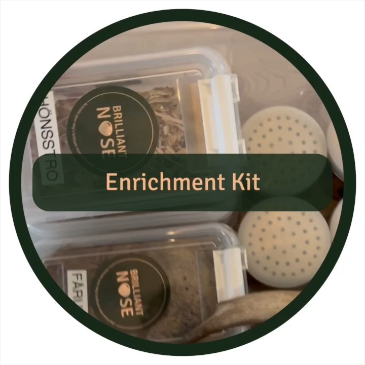 Portable Enrichment Kit for Dogs 🐩
What is enrichment?
Enrichment is an essential part of dog care, as it addresses the innate needs and behaviors of dogs, promoting a balanced and happy life.
This kit focuses on letting dogs experience exciting smells and interesting textures!
A MASSIVE thank you to the best test panel ever 👇
Alice & Lydia - @cavalierflickorna
Isa - @marie.fogelberg
Blanca - @life.with.a.rescue
Material used:
Vegan friendly synthetic scents and material from @tjappo.se
Recycled plastic containers from Clas Ohlson
Aluminum containers with lid from Tingstad
Custom stickers ordered via StickerApp
Labels made with “Brother P-touch Cube”
Quick but Important Note 📝
This experience should be 100% voluntary for your dog. Also, keep in mind that dogs may react differently to scents; some may be cautious, while others are more adventurous. It's recommended to use this outside and not in your dog's home.