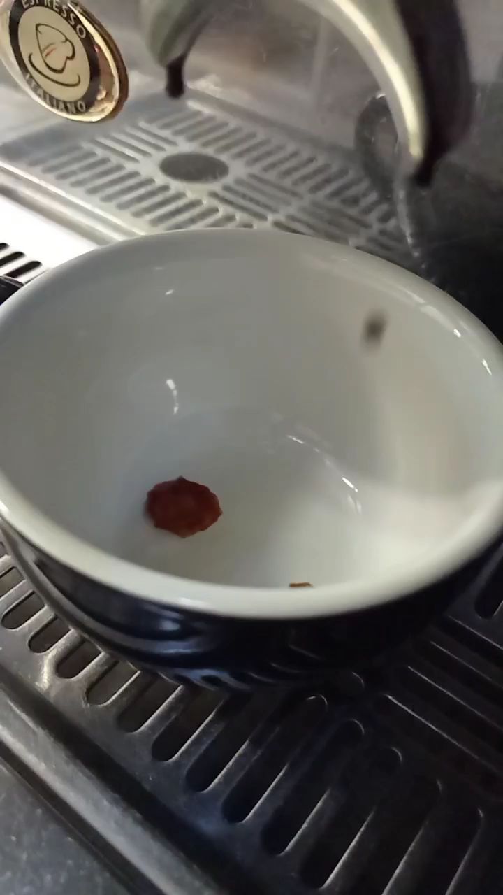 Monday. Double shot it!
.
.
.
.
.
#sidamo #ethiopian #africa #coffee #arabicacoffee #coffeepeople #lamarzocco #lattegram #latte #coffeeaddicts #coffeelover #robusta #espresso #latte #coffeedaily #lattegram #cuppa #cappuccino #kenya #rwanda #zambia #ethiopia