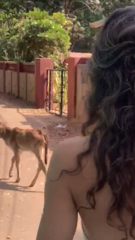 I have a feeling that this year is gonna be about travelling.
First trip starts tomorrow🤩
Why am I looking forward to it?
100% connection to nature and animals. And no appointments.
(Harrassing animals is my second nature too 🤷♀️see proof in video).
India here I come - I missed you.
Cannot believe I will be there in less than 48 hours from now.🙏