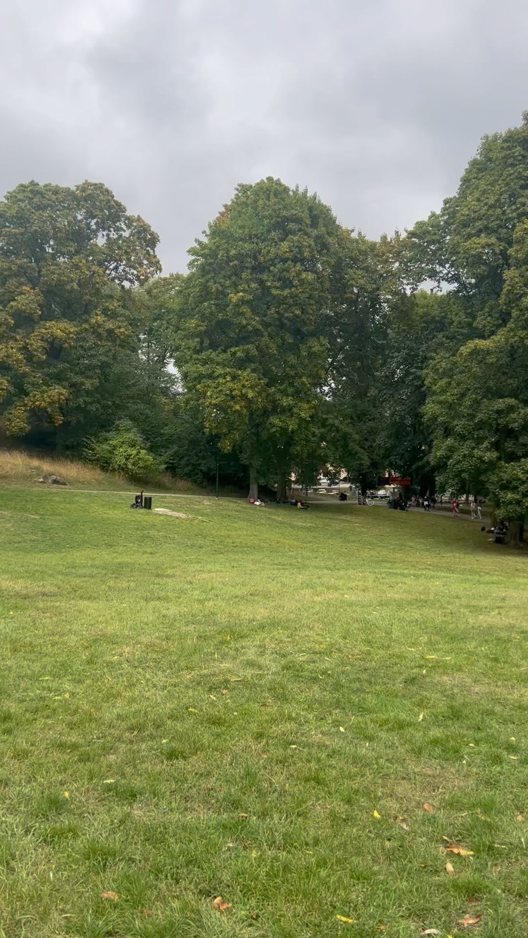 Skoljoggen 2022 🏃🏽♀️🏃🏿🏃🏼♂️🏃🏽♀️🏃🏿♀️🏃♀️