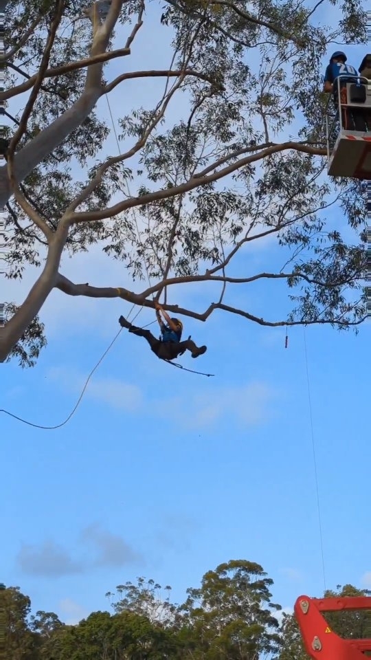 I misplaced my right foot coming back in from the limb walk station... Became extremely tangled and dangling below the branch and gave the whole crowd a mid-air splits but still recovered! It's not about what happened but that we recover!
🐒🙈🙉🙊