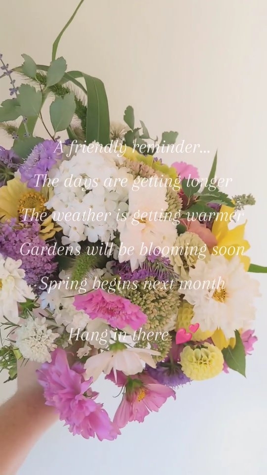 A little Saturday inspiration... Yesterday I walked the property to see how everything was looking since the snow melted. I found hyacinth, delphinium, daffodils, and day lilies starting to poke their heads up. We'll be seeing these beauties soon enough 💗
.
.
.
.
.
.
.
.
.
.
.
.
.
.
#springflowers
#springtime
#flowerbouquet
#pastelflowera
#fingerlakesflowers
#farmerflorist
#flowefarmer
#fingerlakesflowerfarm
#spreadingjoythroughflowers
#summerweddingflowers