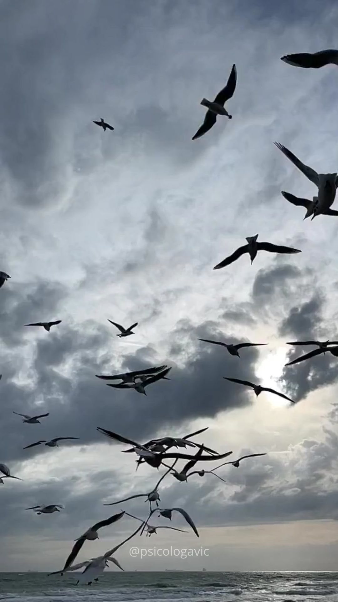 MITO #1 DA VULNERABILIDADE: vulnerabilidade é fraqueza
“Vulnerabilidade não é algo bom nem mau: não é o que chamamos de emoção negativa e nem sempre é uma luz, uma experiência positiva. Ela é o centro de todas as emoções e sensações.
Sentir é estar vulnerável. Acreditar que vulnerabilidade seja fraqueza é o mesmo que acreditar que qualquer sentimento seja fraqueza. Abrir mão de nossas emoções por medo de que o custo seja muito alto significa nos afastarmos da única coisa que dá sentido e significado à vida”
Brené Brown
.
.
.
.
.
.
#psicologia #psicoterapia #terapia #tcc #terapiacognitivocomportamental #pensamentos #reflexão #vulnerabilidade #sentimentos #coragem #medo #ribeiraopreto