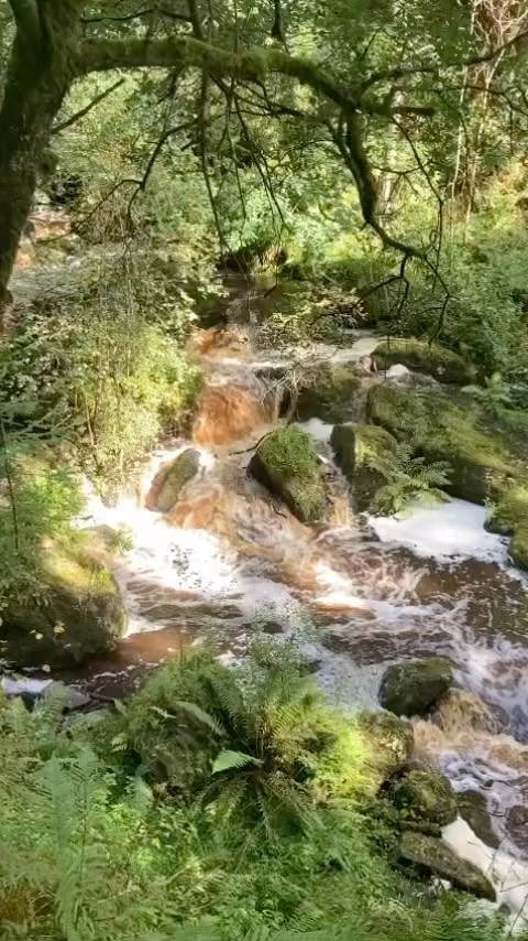 I GUIDE YOU TO LIVE YOUR TRUTH, YOUR WAY!
IT’S NOW TIME FOR ME TO DO THE SAME, HERE’S TO THE NEXT STEPS ON THIS BEAUTIFUL JOURNEY!
TRUE FREEDOM AND HAPPINESS IS EXPERIENCED WHEN DOING WHAT YOU LOVE!
For You and for me
Fi
✨🪶