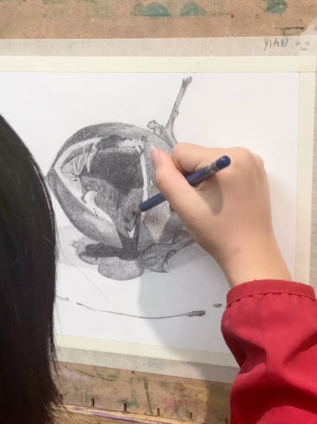 Yian’s stilllife drawing!
#stilllife #drawing #art #artclass #melting