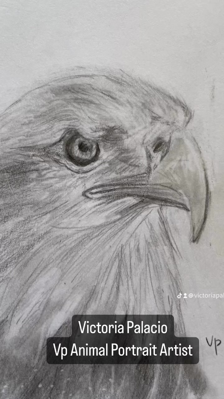 Rough practice sketches. I hope you like it.
Thank to Free Animal Reference Photos for Artist for their photos.
#vpanimalportraitartist #animalovers