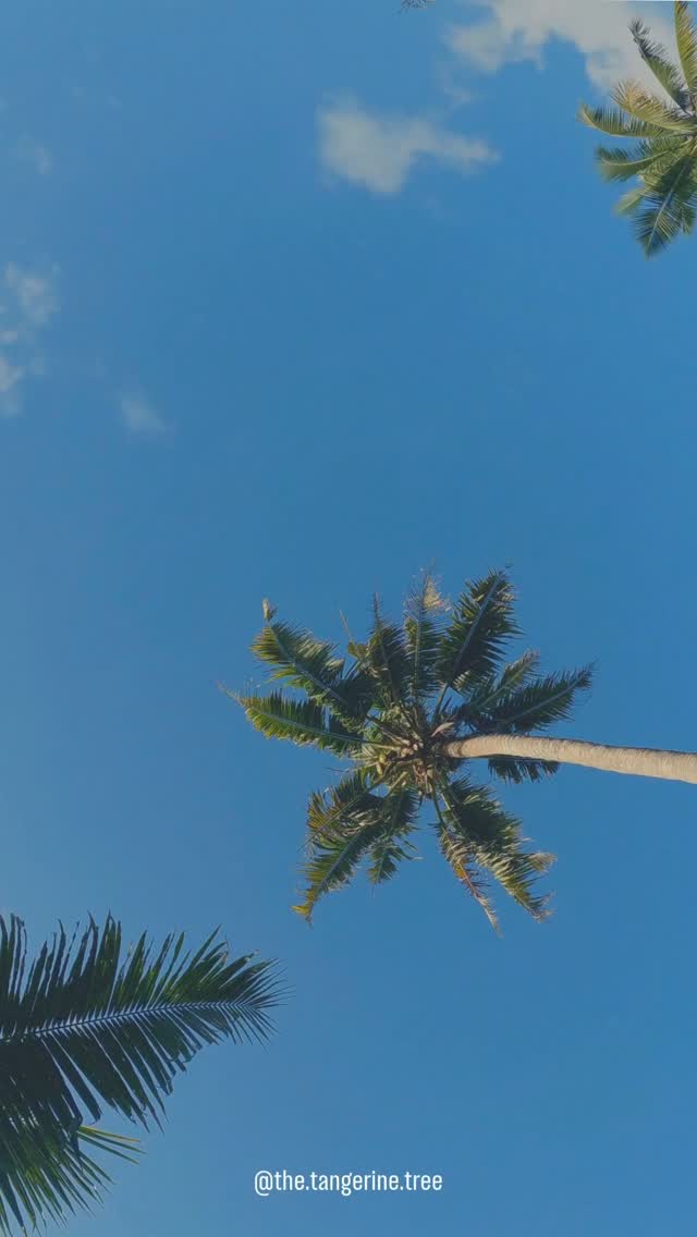 When did we start believing that slowing down means falling behind? 🤍
High performers. Deep feelers. Caregivers. Achievers.
You carry a lot. And sometimes the heaviest weight isn’t the workload — it’s the guilt that comes with slowing down.
🌿 Let this be your reminder:
Even if you slow down, you are still enough.
Even if you rest, you are still safe.
Your worth was never tied to your pace.
✨ It’s okay to breathe. To pause. To just be.
#RestIsProductive
#YouAreEnough
#HighAchieverHealing
#MindfulLeadership
#MentalHealthAwareness
#PositivePsychology
#ResilienceInRest
#OrganizationalPsychologist
#TheTangerineTree
#BurnoutRecovery
#SlowLivingForLeaders
#WellbeingAtWork
#InnerPeaceMatters
#RestWithoutGuilt
#PerformanceAndRest
#MentalFitness
#PermissionToPause
#CompassionateLeadership
#thrivingnotjustsurviving