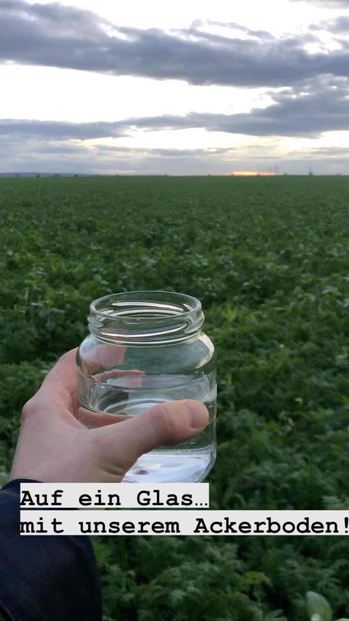 #meinhofundich Tag 4/7
Auf ein Glas mit… unserem Ackerboden!
Ja warum jetzt das?
Es ist schlicht und ergreifend unsere wichtigste Ressource, die Grundlage unseres Wirtschaftens, die Basis unseres Lebens.
Boden ist Faszination pur. Dunkel, modrig, klebrig, staubig- voller Leben und Geschichte und überall ein bisschen anders.
Damit wird bestmöglich mit ihm arbeiten, auf ihm ackern können sollten wir unseren Boden verstehen. Zumindest versuchen wir uns daran. Wir können ein Glas nehmen und eine Schüttelprobe machen (siehe Reel), mit dem Spaten graben & die Bodensonde in den Acker stecken, um zu sehen, ob es grundlegende Probleme im Boden gibt.
Wir lassen pH-Wert und Nährstoffe in Laboren untersuchen, um den Boden optimal zu düngen/ zu ernähren. Wir können stundenweise darüber diskutieren & philosophieren, was gut, besser oder schlechter für unseren Boden ist.
Darauf lässt sich das ein oder andere Glas heben!
#faszinationboden #ackerbau #ackerboden