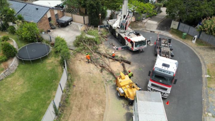 Big day last week removing six problematic trees with a 100 tonne crane! Shout out to @grant_mcintosh_85 @condrinwil and @chrisveecee for making it happen on the day 👏 Please enjoy! 💚🍃🌳