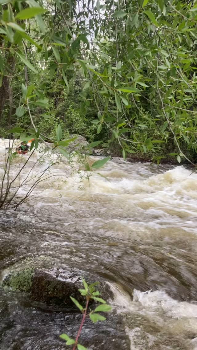 @martinbradleysmith showing @taytayboofs the winning lines down fish creek in the double ducky. In return @brokerintheboat gives us some beta on some real estate around @rollingstoneranch_golfclub
#steamboat
#steamboatsprings
#fishcreekfalls
@mountainsportskayakschool
Did we swim?