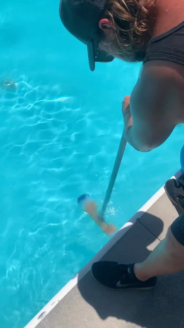 98 degrees ☀️ and we are still out here 🧼 🪥 getting these pools 💦 WEEKEND READY! 🍻
#poolparty #poolboy #poolguy #piscina #virginiabeach
@machonacho76