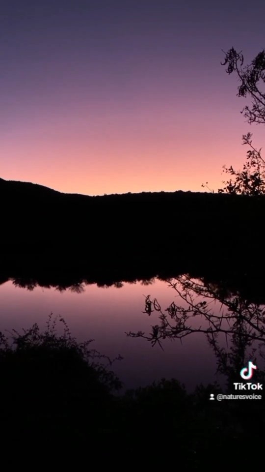 Winter Sunset at @naturesvoice_ec
#sunset #southafrica #naturesvoice #nature #accommodation #lover #sunsetlovers #wildestdreams #naturesbeauty