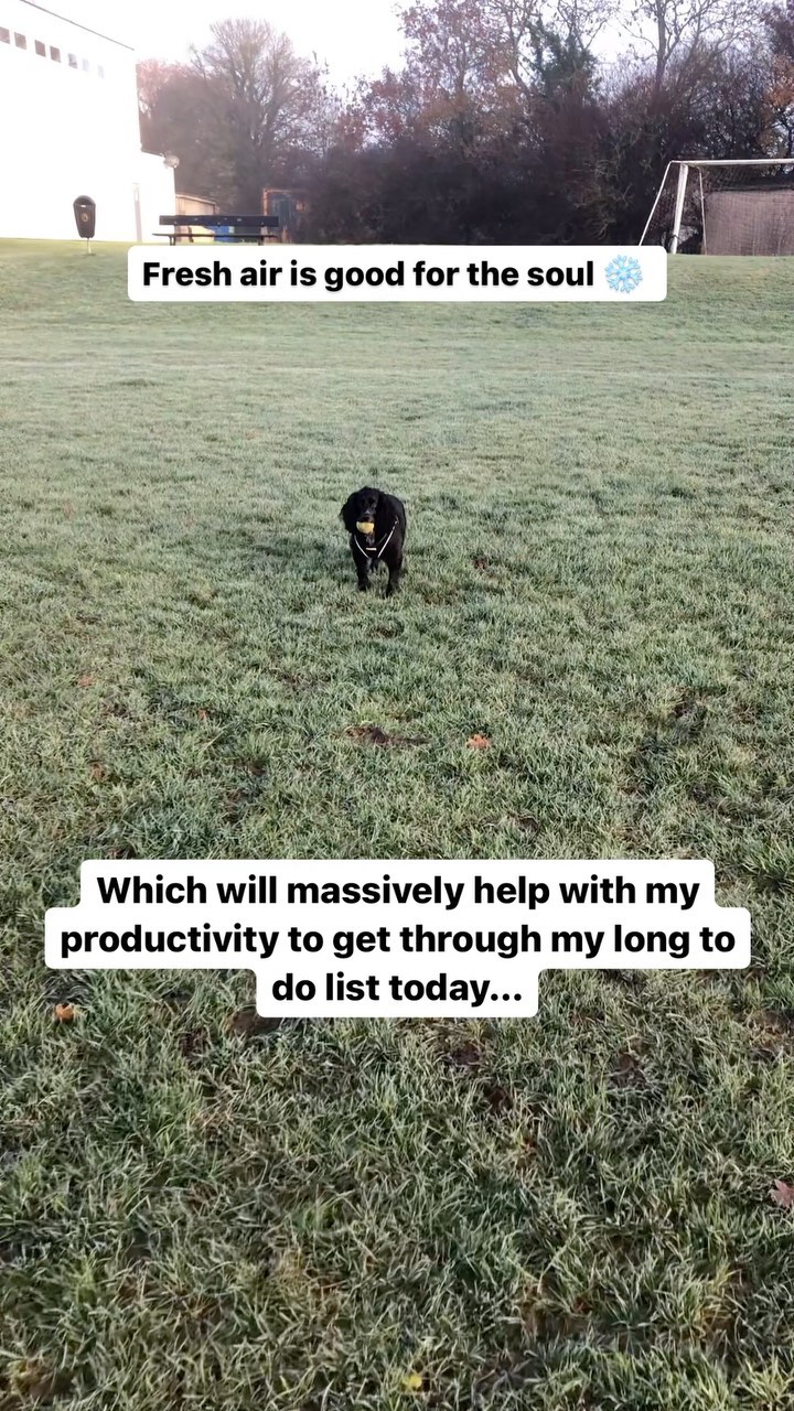 ❄️ Fresh air is good for the soul ❄️
Don’t know about anyone else but getting outside and going for walks really helps boost my mood, which helps with my productivity!
My little cocker spaniel Izzy has helped me more than she will ever know 🐾
#cockerspaniel #smallbusinessowner #websitedesign #freshair #freshairtherapy