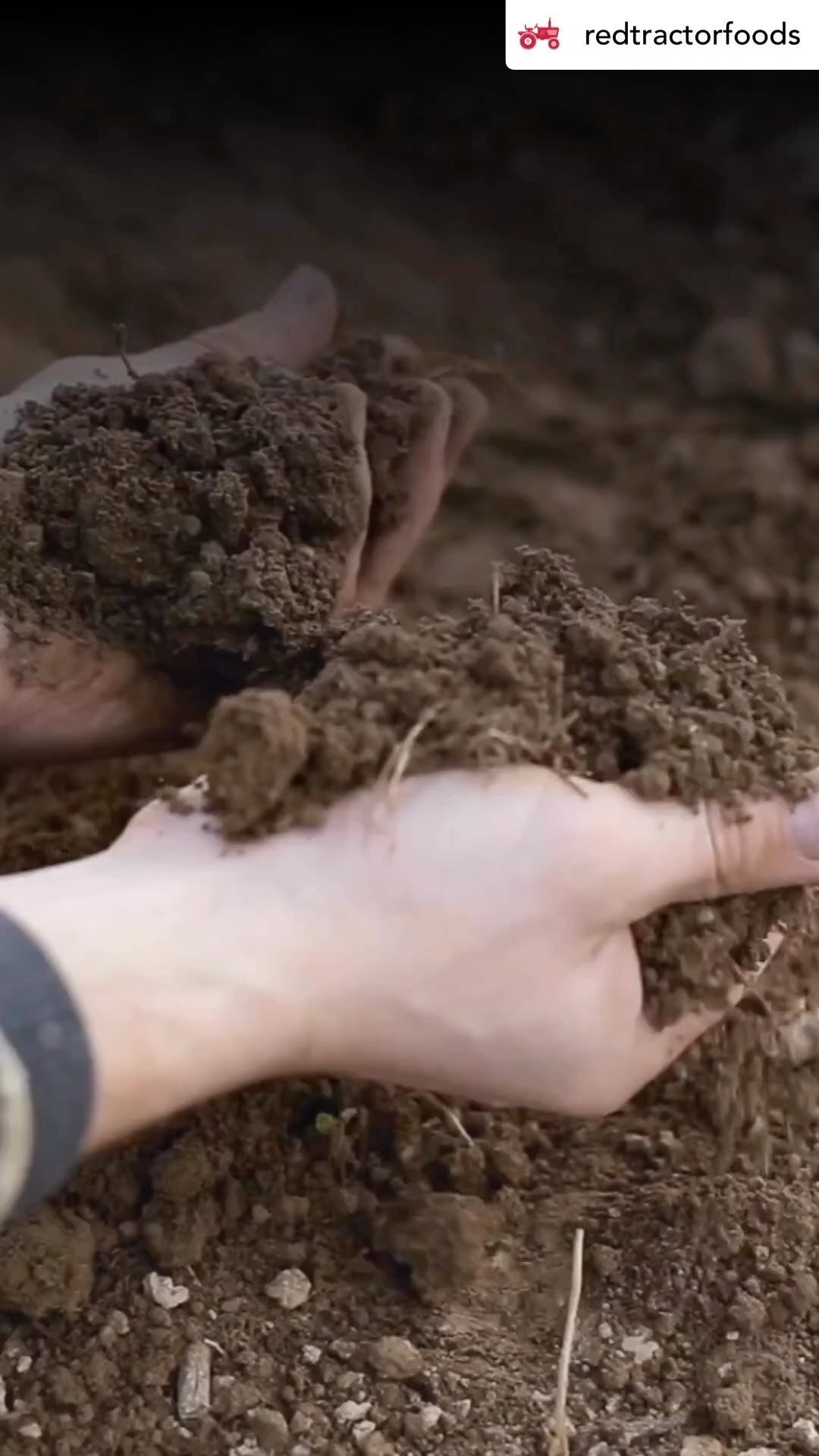 Warm up this winter with a nourishing bowl of porridge for breakfast! Not only is it a delicious way to start your day, when you choose Red Tractor Oats, you’re also making a positive impact on Aussie Farmers and regional communities. Every purchase helps.
We’re incredibly thankful for the unwavering support from @redtractorfoods
#supportfarmers #nourishingstart #thankful4redtractor #oats #porridge