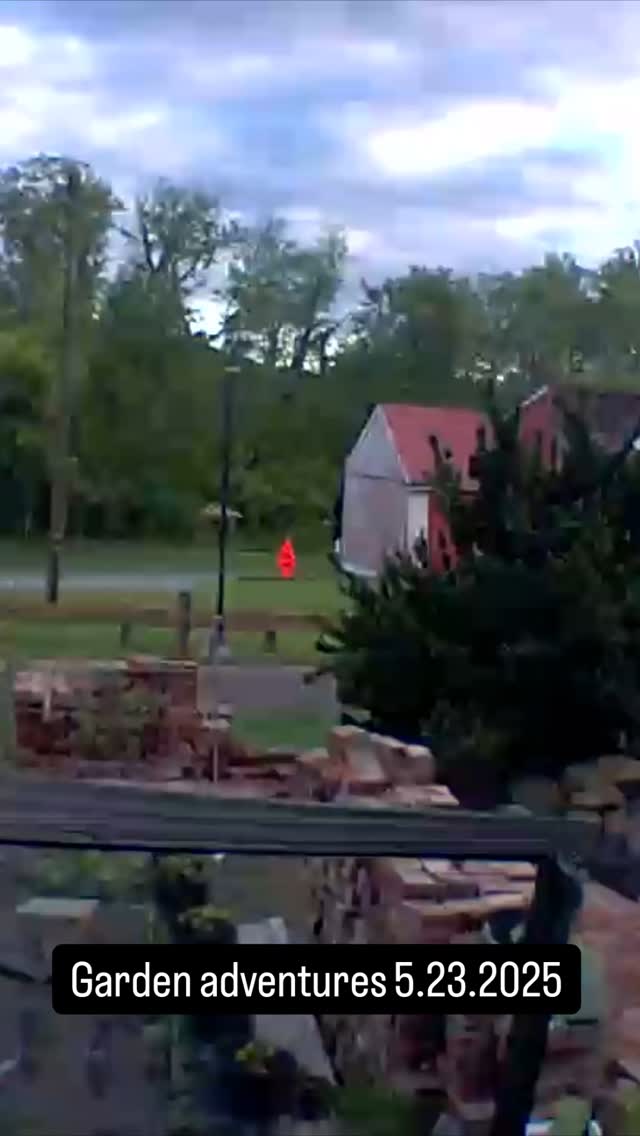 #spinach #cilantro #gardening #diywithchelsea #growroom #diyprojects #plants #seedlings #gardeners #neem #neemoil #pork #pulledpork #cooking #crockpot #patio #spring # rice