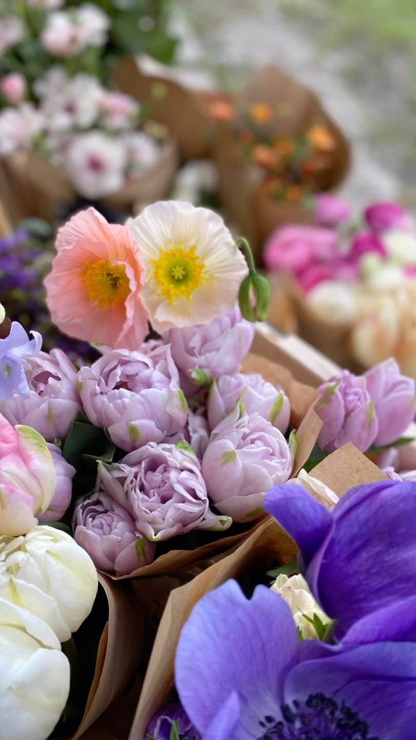 Another dream team effort pulling this spring selection together @theflower_tree & @rivergardenflowers!
@sophieflowers.studio can’t wait to see what you do with them! 😀🌸