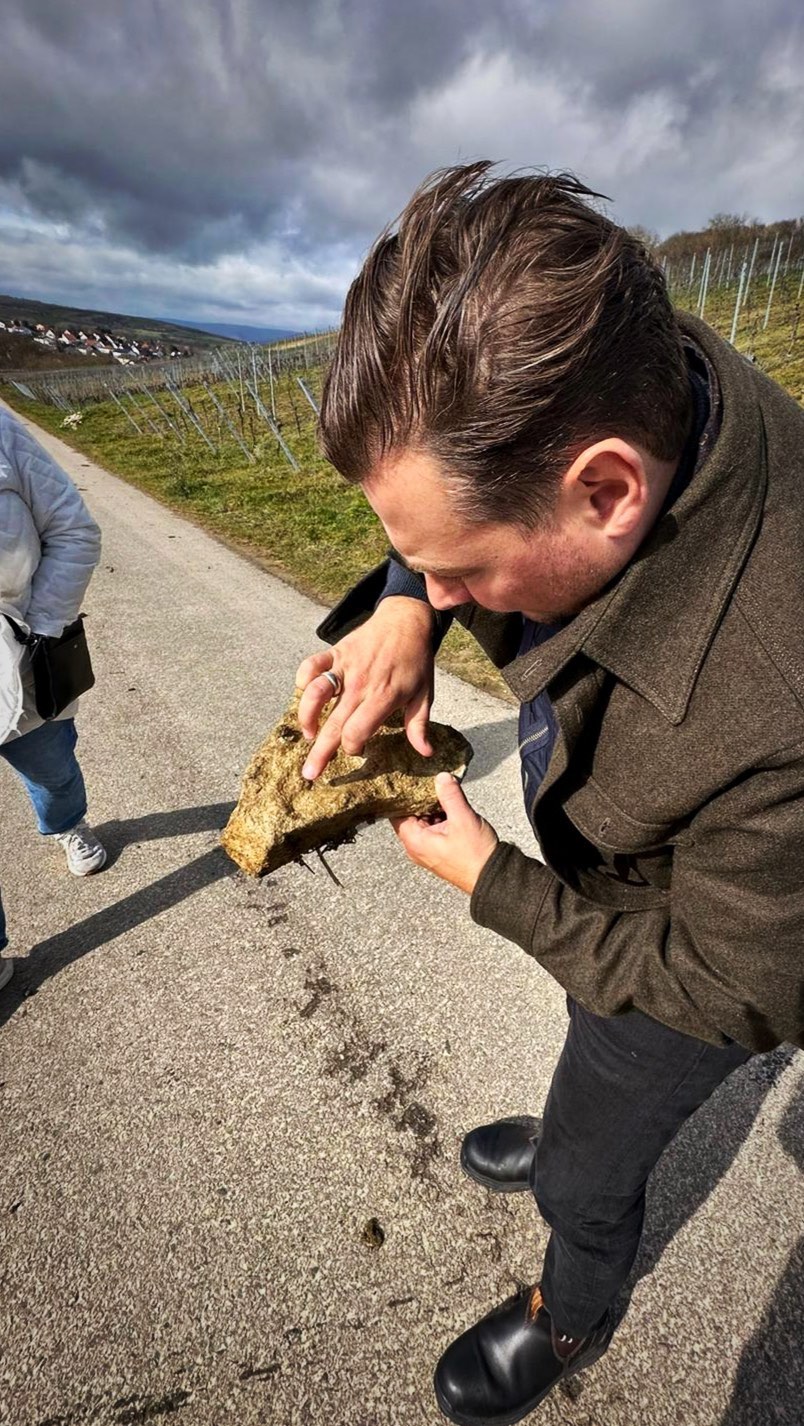 🇩🇪Wine tour season off to grape start thanks to so many lovely thirsty people 🙏🇯🇵 🇸🇬 🇺🇸 🇦🇺 🇬🇧 🇦🇷 🇲🇽 🥂
#grapeescapes #winetour #winetravel #germany