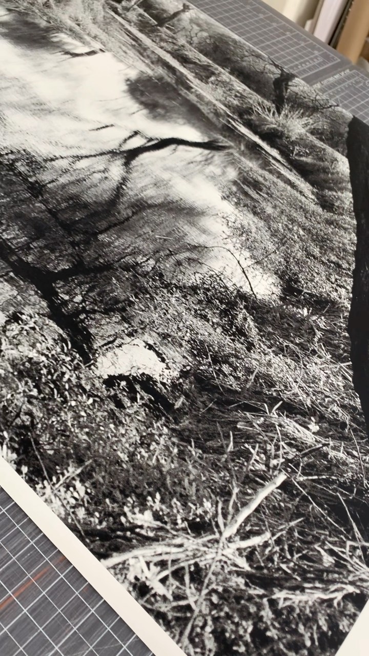 Proceso de impresión de obra🙌🏻
Impresión en Papel @ilfordphoto Smooth Cotton Rag de 310 grms es uno de nuestros papeles en la gama Fine Art que puedes encontrar 📸
.
.
.
.
.
#impresion #impresión #impresiondigital #impresióndigital #impresionfineart #papelesfineart #papelfotografico #papelfotográfico #ilford #ilfordphoto #oaxacacity #oaxaca #impresiondefotos #impresiondeobrasdearte #artistas