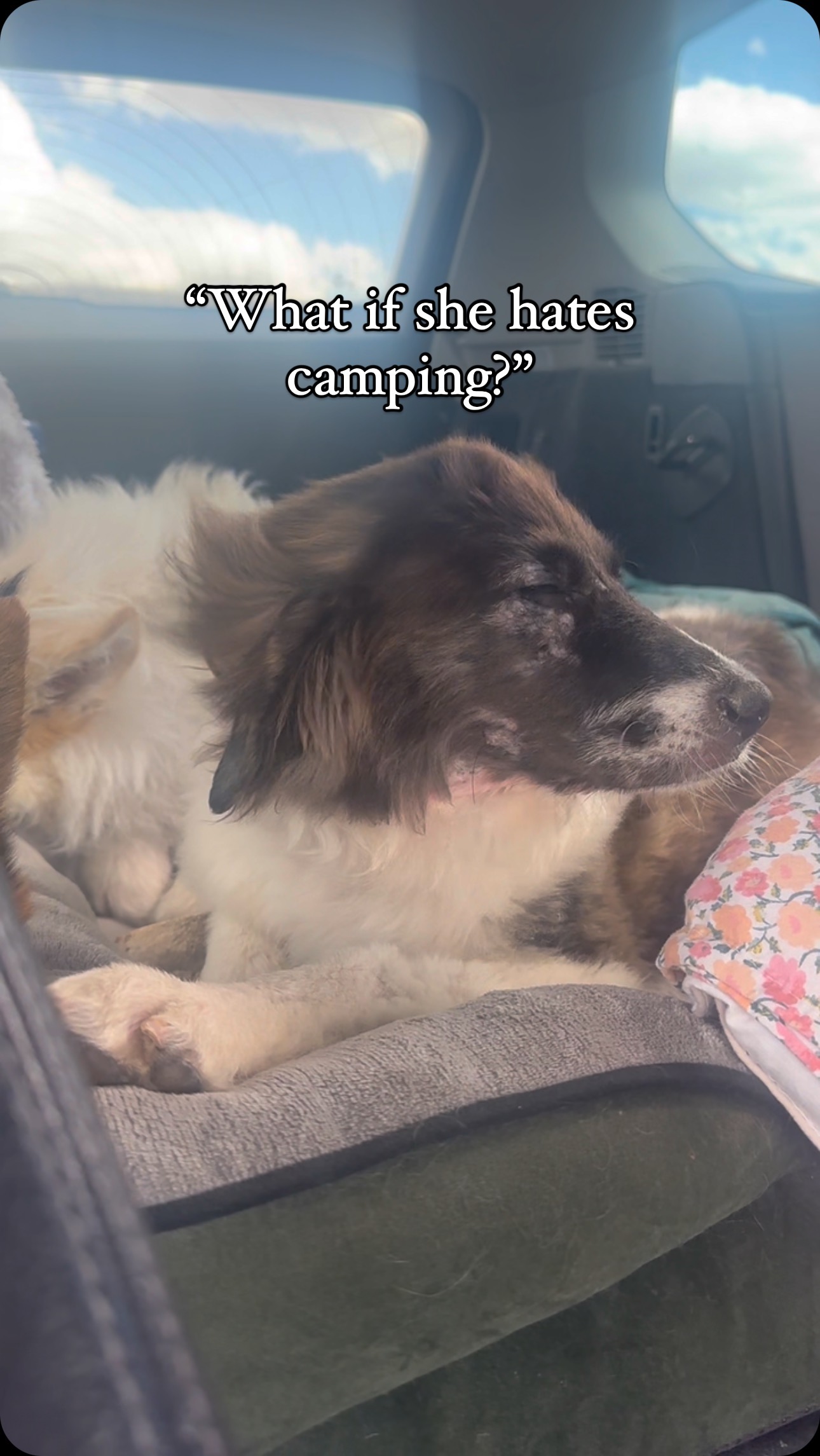 Crossing that off our “what if” list 😂😭💕. This lil Red had the time of her life off grid in Wyoming.