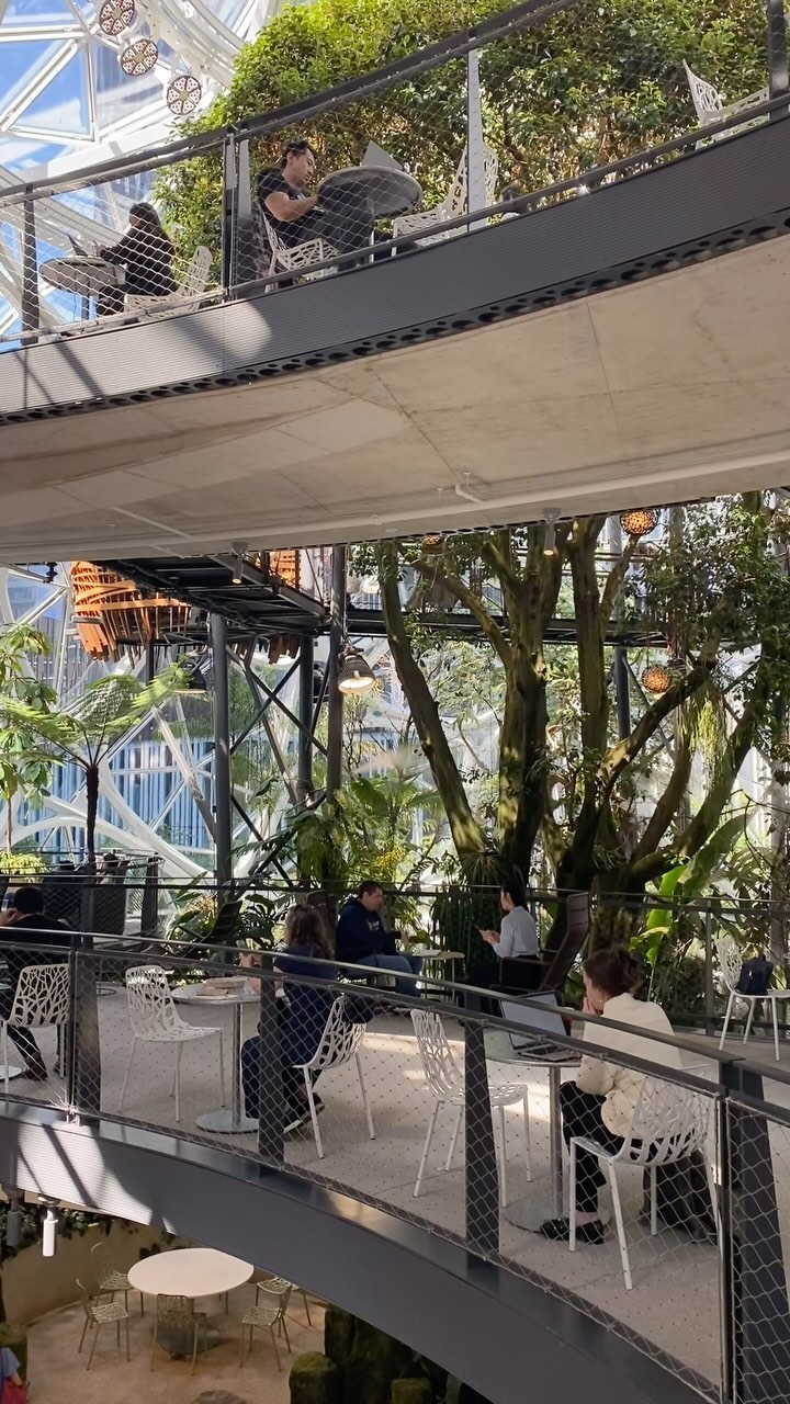 Some different content than the usualā¦
A few weeks ago I was lucky enough to visit the Spheres in Seattle, one of the Amazon office buildings. The concept for the building is to provide an innovative and creative working environment by bringing nature into the work place. Thereās various spaces to work, hold meetings, have lunch, and take a walk all while enjoying the setting of a hyper naturalistic rainforest setting.
Iāve never seen anything quite like it āØ
#amazonspheres #seattle #amazon #spheres #washington #plants #landscapedesign #landscapearchitecture #pnw #seattlewashington #photography #plantsofinstagram #plantsmakepeoplehappy #interiordesign #cityscape #greenhouse #seattlephotographer #photo #plantstagram #thespheres #rainforest #seattlelife #crazyplantlady #biome #downtownseattle #arboretum #monstera #travel #anthurium