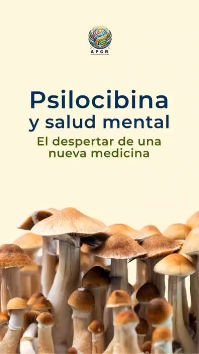 ¡Cada vez más cerca!
Este jueves 22 de Mayo a las 7pm, de manera gratuita, estaremos hablando sobre Psilocibina. Agradecemos el interés que se ha sentido en las diferentes redes sociales y siéntanse bienvenidos de invitar a todas las personas interesadas en este renacimiento psicodélico.
Se estará enviando en enlace de la presentación días previos a la charla y el mismo día en los diferentes canales de comunicación como Instagram y WhatsApp.
Enlance a charla:
https://us06web.zoom.us/j/86758876221?pwd=FA5I2tFUbbEWdySgO0Bfj6cH85Puqf.1
Te invita la Asociación Psicodélica de Costa Rica 🇨🇷