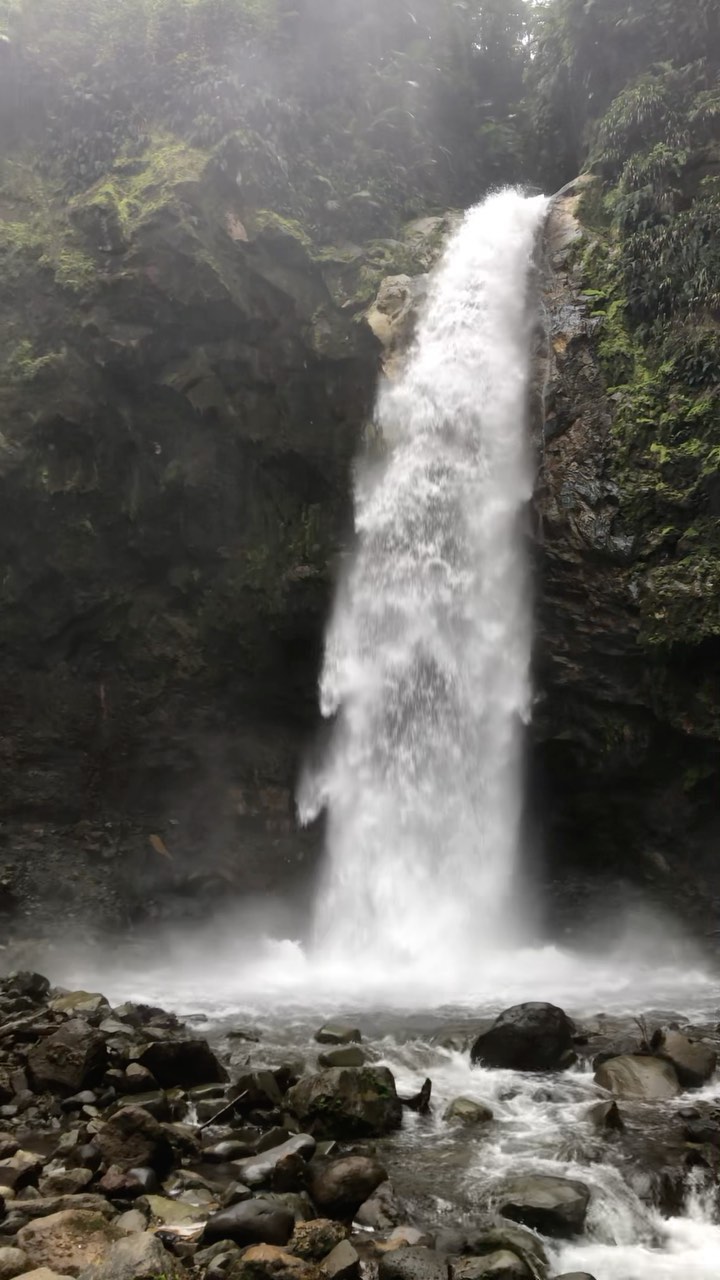 Exploring Bajos del Toro 🦖🌱🌿
@rioagriowaterfall @cataratas_bajosdeltoro @cataratasbajosdeltoro
#bajosdeltoro #bajosdeltoroamarillo #mangiferahostel #quebuenlugar #adondeircostarica #costaricacool #hostels #hostelsclub #hostellife #visitcostarica