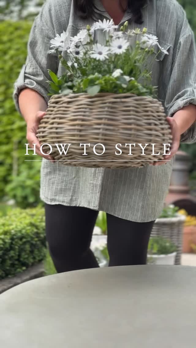 A garden favourite 🌿 Meet our bestselling Round Rattan Planter
A timeless way to elevate your outdoor (or indoor!) space — our handwoven rattan planter is fully lined with metal for durability, making it as practical as it is beautiful. 🤍
Perfect for spring blooms, summer herbs or lush ferns, it’s a natural choice for any style of garden or patio. Whether you’re styling a quiet corner or refreshing your alfresco setup, this piece adds effortless charm. ✨
📏 Generously sized
🪴 Fully metal-lined to protect surfaces
🏡 Suitable for indoor & outdoor use
Ready to give your plants a prettier home?
Tap to shop or head to the link in bio — they won’t stay in stock for long!
#BoxwoodHomeInteriors #RattanPlanter #GardenStyle #SpringGarden #OutdoorLiving #UKInteriors #PlanterGoals #GardenInspo #GardenStyling #AlfrescoVibes #HomeAndGardenUK #PlanterDecor #WovenPlanter #NeutralDecor #14kStrong #SmallBusinessUK #InMyGarden #InteriorLoversUK #rattanlovers