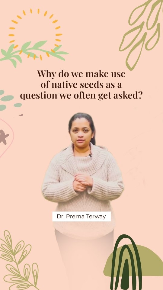 With better nutritional uptake from the soil, and then to our food, native seeds are the building block of the nutritional journey at @tuvainature
Dr. @prernaterway 🌱discusses the profound impact these seeds have on our natural farming philosophy, nourishing not just our bodies, but also the soil, ecosystems, and communities they touch.
Join us as we explore the essence of Amrit Krishi farming, where indigenous seeds reign supreme, offering higher nutrition uptake and vitality compared to their lab-grown counterparts.
Shop our premium natural products at www.tuvainature.com
-
-
#tuvainature #organicproduct #jharkhandpride #organicgoodness #farmerslife #indianfarmers #sustainbleagriculture #traditionalfarmingpractices #organicfarmers
#earth #conscious #nutrition #nativeseeds #amritkrishi #sustainablefarming