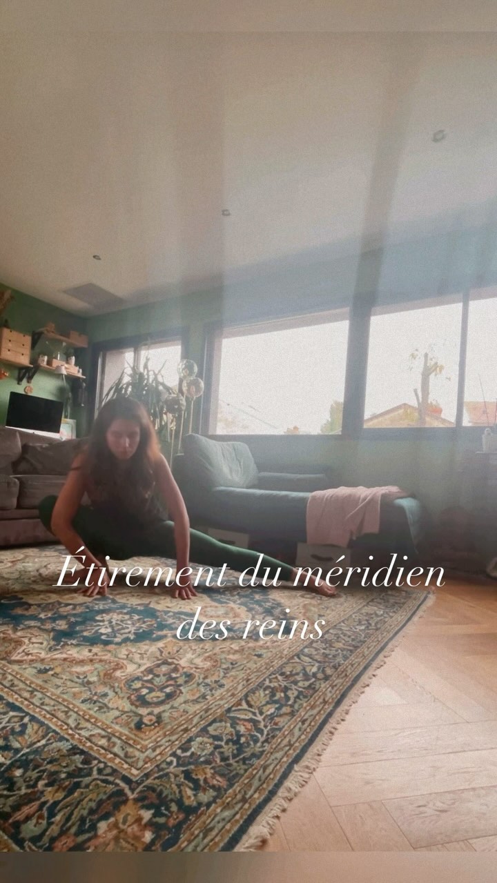 # Les Reins correspondent à l’eau et à l’hiver.
Ils sont en relation avec nos origines et notre puissance de fond. Ils consolident en continu la vie, tant au niveau physiologique (les os), qu’au niveau psychologiques (les archétypes).
8 Sur le plan physiologique ils correspondent aux os, à la moelle, aux cheveux, au cerveau pour sa structure et aux oreilles. On les associe à la fécondité et sont responsables de la qualité du sperme et du sang de la muqueuse utérine. Ils commandent les eaux et les liquides, permettant la composition de l’urine.
Sur le plan psychologique, ils apportent la sévérité, la rigueur, la prise dedécision, la volonté ainsi que le sens de l’écoute. c’est aussi nos croyances les plus profondes sur lesquelles nous nous appuyons (les Archétypes). Leur émotion est la peur. Ils sont liés à la mort de toutes choses.
• La dynamique eau mobilise notre capacité à aller au bout des choses à condition d’être mis en mouvement, car comme pour l’eau, l’énergie peut avoir tendance à stagner. Ceci peut conduire en cas de déséquilibre au lymphatisme.
Les souffles des reins nous ouvre notre capacité d’écoute et aide à prendre des décisions rapidement avec une facilité d’adaptation.
http://keiko-shiatsu.com
#keikoshiatsu #shiatsulyon #bienetrelyon #doinlyon #aromatherapielyon #massagelyon #santenaturelle #huileessentielles #energetiquechinoise #medecinechinoise #acupression #developpementpersonnel #sérénité #psychologiepositive #moonclublyon #formationaromatherapie
#holistique #soinénergétiquelyon #santementale