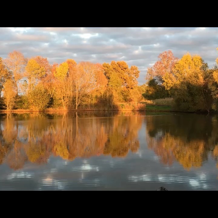 Time to get the rods out 🎣 #carpballs #dischargebaits #autumnfishing #autumn #carpfishing