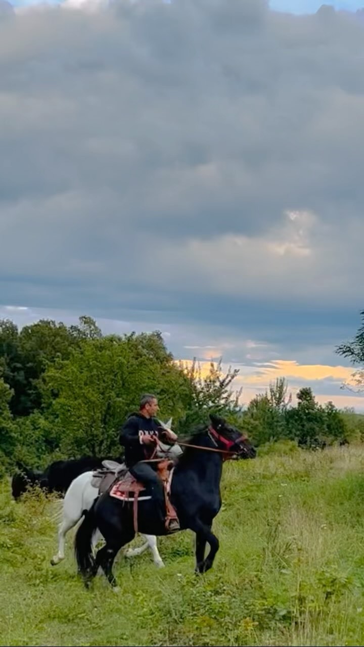 September at @grassfedangus 🌱♻️🐝🐴🚜 #grassfed #grassfedangus #angusfarm #angusbeef #sustainablefarming #horses #sustainability #wildlife #farmreels #farmlife