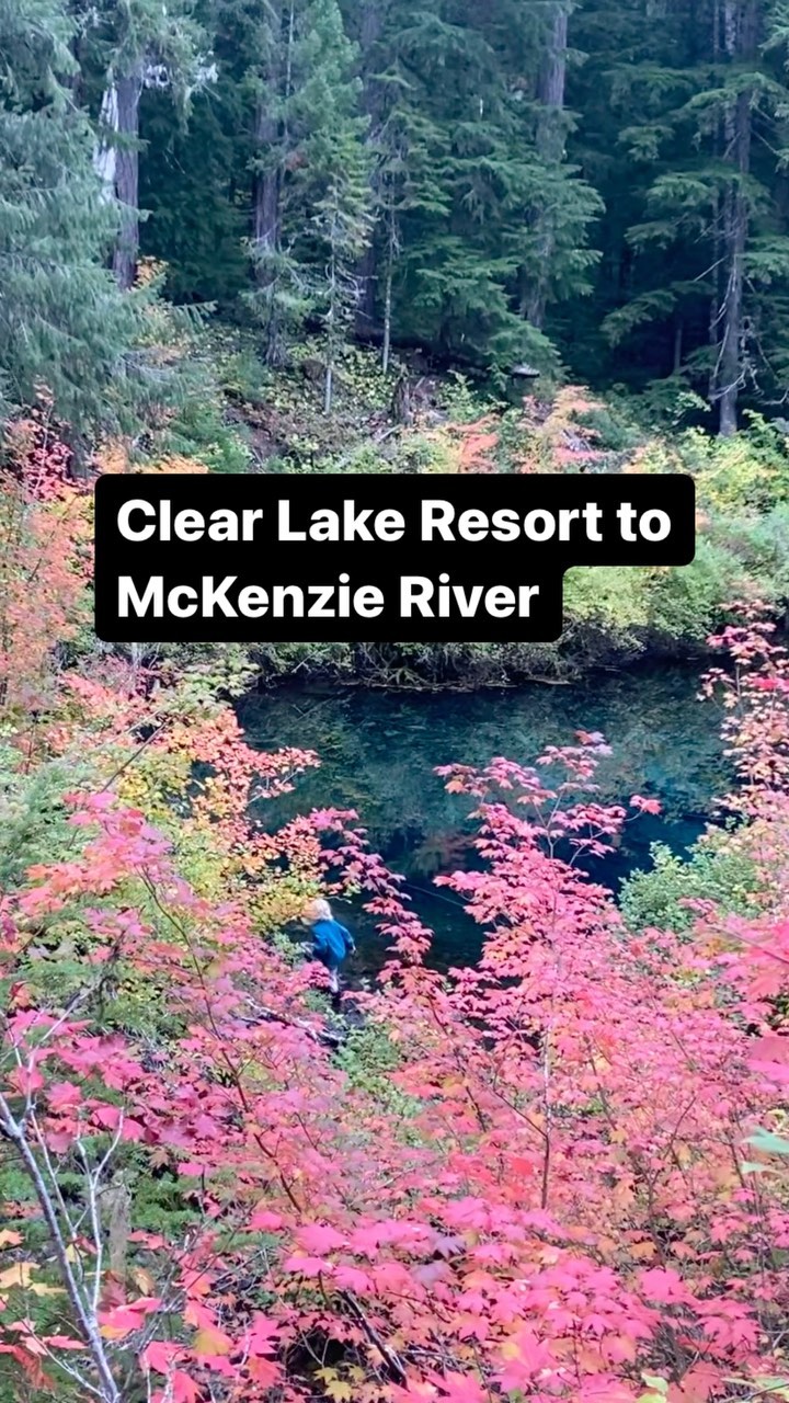 📍 Clear Lake (McKenzie River)
Learning topics: old growth forests, bird watching, mushrooms, volcanoes
Where are your favorite places to see fall colors? 🍁
#wildandbarefootadventures #clearlake #mckenzieriver #fallcolors #oregonfall #getoutside #homeschool #worldismyclassroom #adventureday #adventuretime #homeschoollife #homeschoolfamily #exploreoregon #placebasedlearning