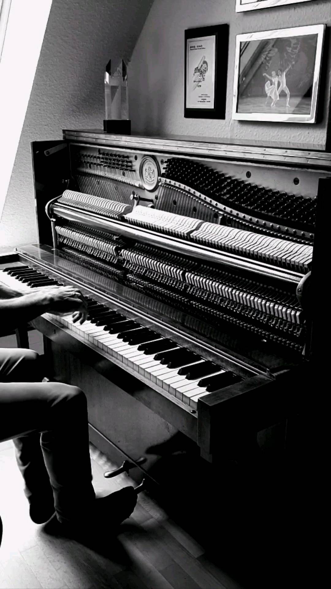 Today my new album "A Child's World" was released - dedicated to my son, of course. But also to all other children in the world - I named many of the tracks after qualities I wish for children, e.g.: "Identity", "Generosity", "Sincerity" or "Simplicity". On the album are 12 beautiful pieces that invite you to rest and, as title 2 is named, "From Here to Eternity" may remain.
.
Here I am playing a short improvisation on "Generosity" - thank you @applemusic , for sharing the piece today on your famous PIANO CHILL playlist. Thank you @spotify for sharing "Slow Waltz" in FOCUS PIANO and MAKSIMUM KONSANTRASYON. And thank you @youtubemusic for nearly 100k streams on several playlists since the first single of "A Child's World" was released.
My thanks also go to my label @silentbeatrecords - thank you for our great partnership! You guys are awesome.
.
On the left there is the "Hollywood Music in Media Award" @hmma , which I won 2021 in the category "Exceptonal Instrumental Performance". The picture on the wall shows an excerpt of the ballet #jahreszeiten , for which my PIANO SONATAS were used in a collaboration with @richmondballet in Octiber 2021!
.
.
#neoclassical #neoclassicalmusic #piano #pianist #piyano #instapiano #emotionalpiano #pianocomposition #pianosolo #pianogram #instapianist #pianoplayer #silentbeatrecords #applemusic #hmma #richmondballet