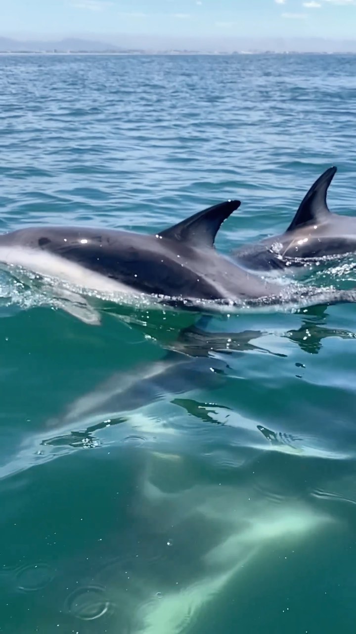 Half day Monday. Braaaaaaaap braaaaap braaaaaaap.