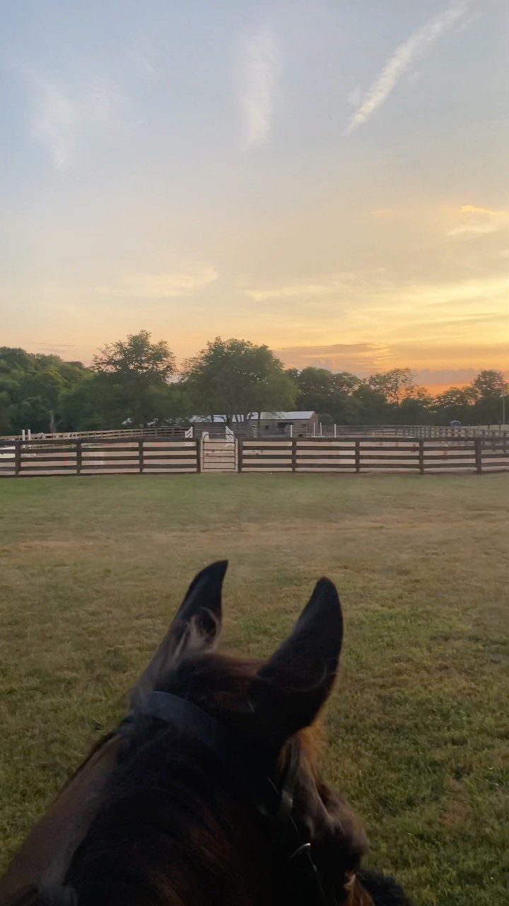 Riding is where I feel the the most like myself. The most connected with God and my inner most thoughts. This is the place I am able to talk to God and hear His voice calling back to me through His beautiful creation.
I’m curious what activities you enjoy that help you find some balance in life?
#blazerfarm #livingmybestlife #sunset