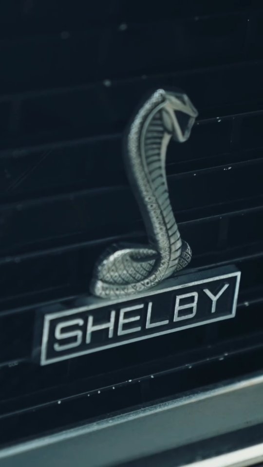 Introducing breathtaking bridal party cars, elevating the elegance of every captured moment.
#wedding #weddingcars #fastandfurious #ford #melbourne #musclecar #australia #bridalcars #happilyeverafter