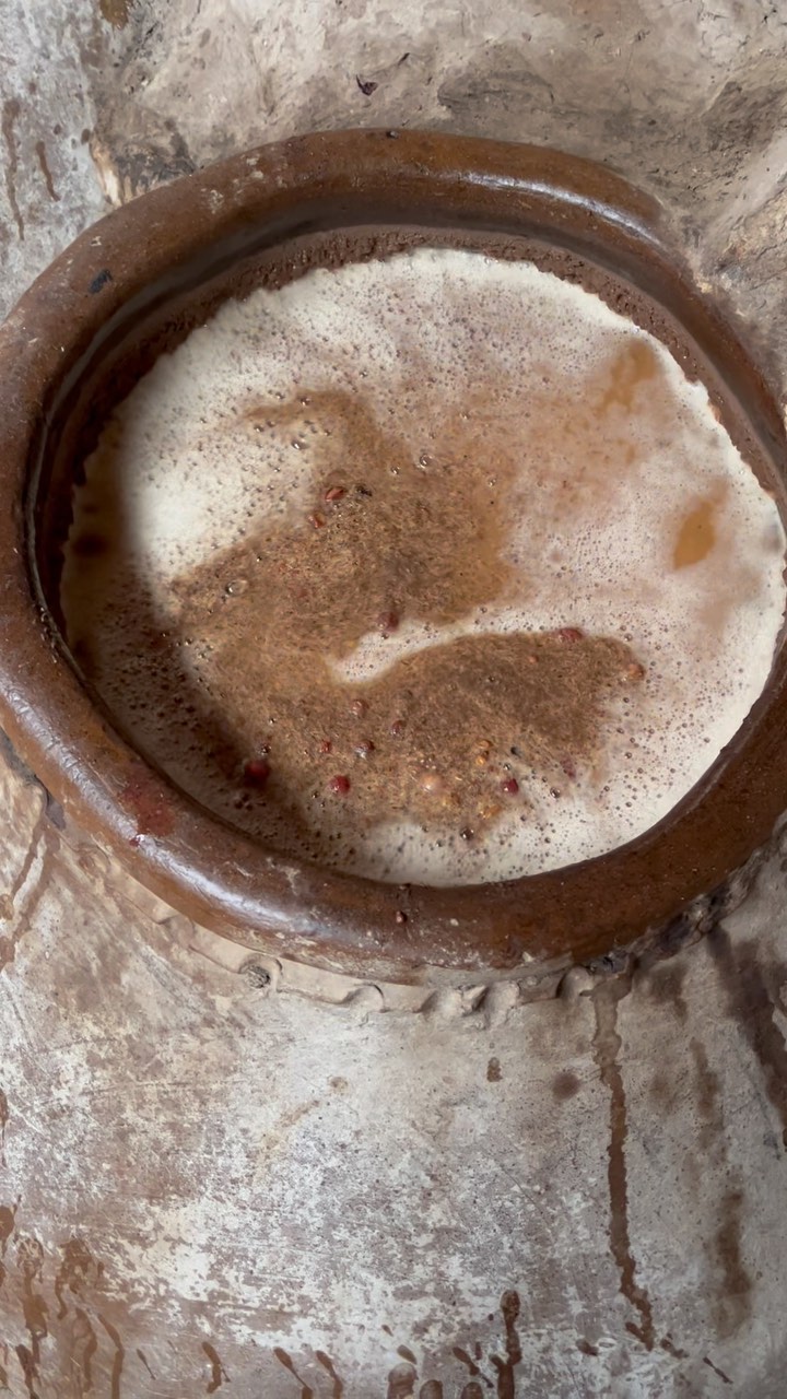 The active fizz of the mosto (grape must) made from Negra Criolla grapes 🫧 at Jorge Estremedoyro’s bodega in the Majes Valley. He makes wines and piscos from #criolla grape varieties that ferment in tinajas, old school clay pots 🏺
#pisco #Arequipa #majes #Peru #naturalwine #mosto #tinajas