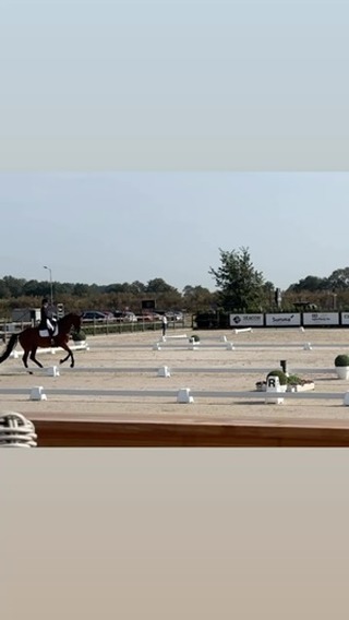 Competition day..✨
🥈place with 69,3%
Some small mistakes but very happy with the rest of our test today😇
❤️❤️❤️
@linda_dick_vanwoudenberg