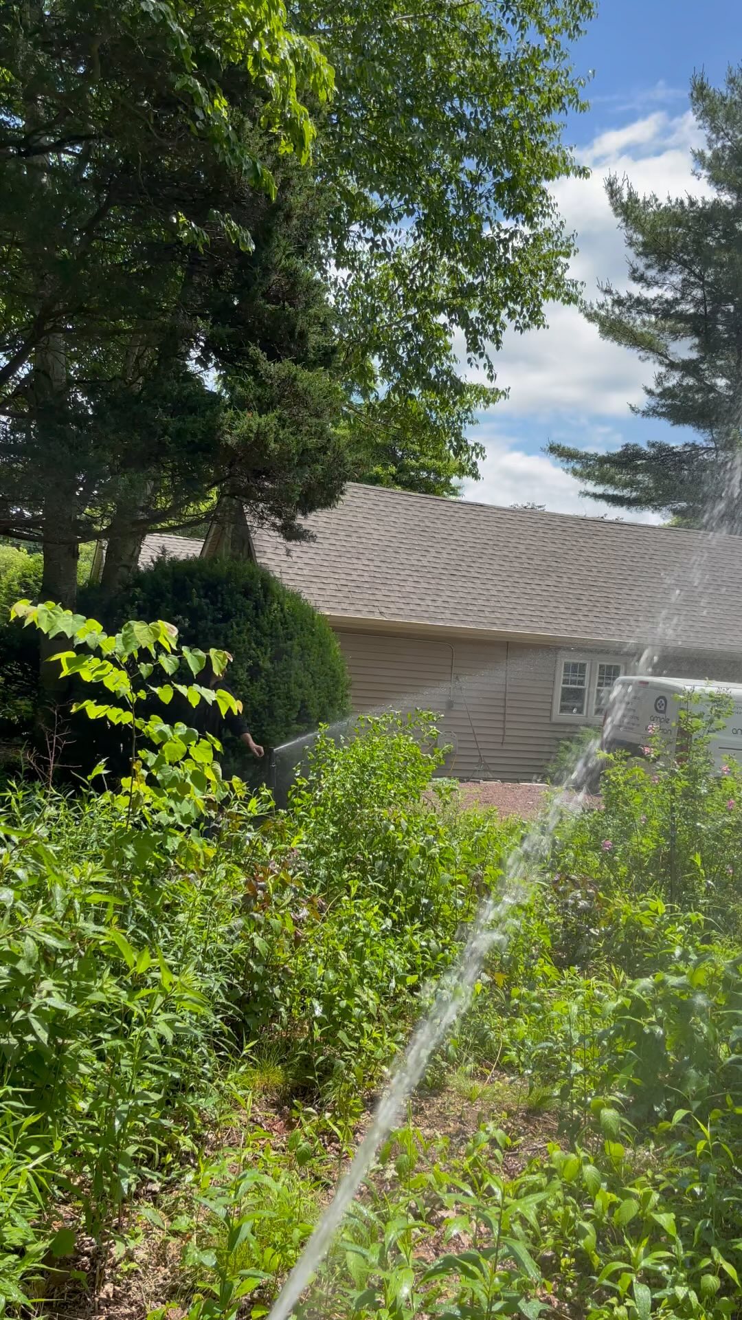 Customer wanted coverage for her meadow, so we gave it a nursery style soak 😎 #ample #irrigation #lawn #sprinklers #plants #plantings #lawnsprinklers