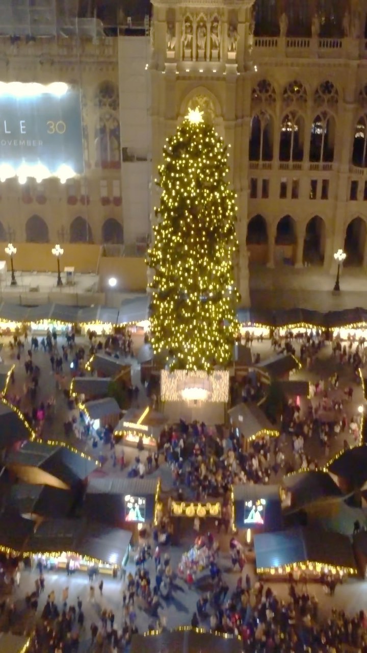 I want to come back🥺 to this magic❤️
.
.
.
#wien🇦🇹 #wien #wienstagram #vienna #viennalove #viennagoforit #viennanow #viennablogger #ig_europa #cristmas #austria🇦🇹 #austrianblogger #rathaus #heldenplatz #stephansdom #mariahilferstraße #wien_love #donauinsel #1000views #1m