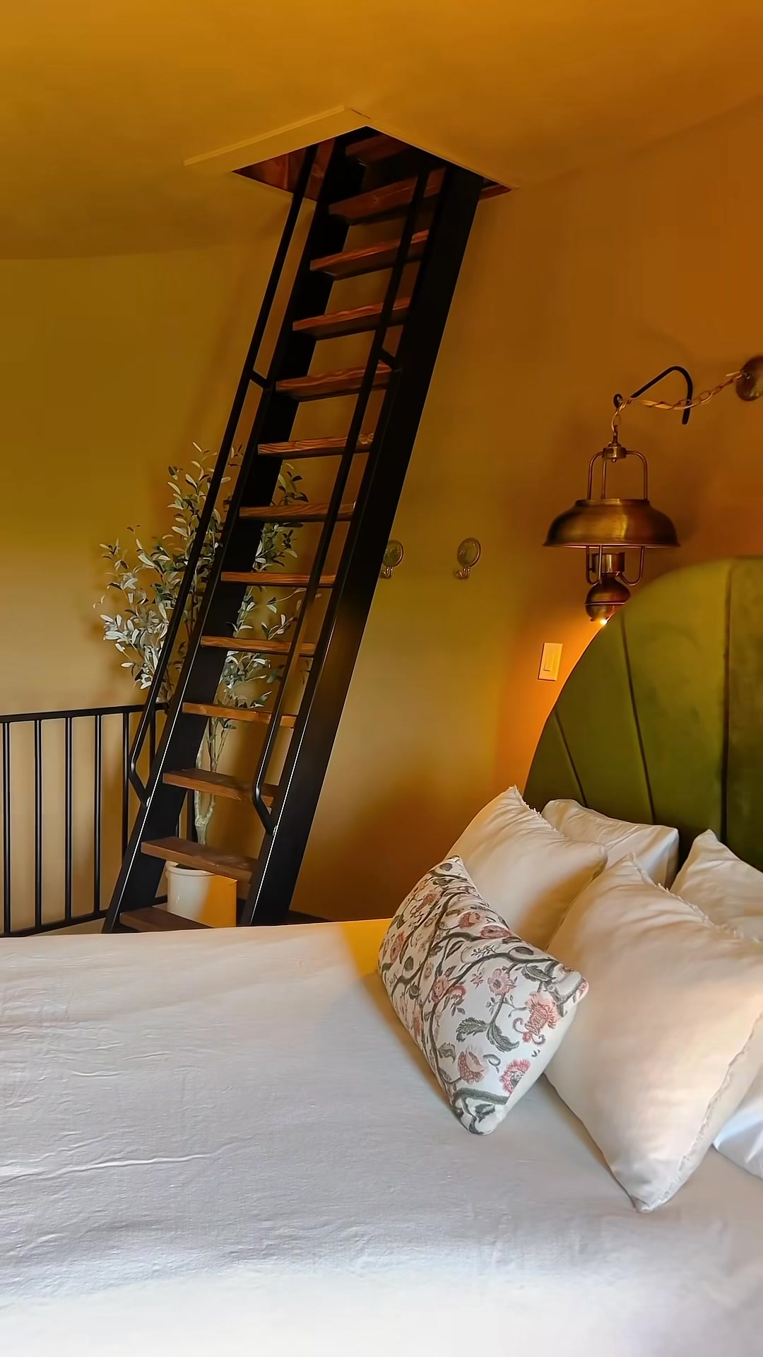 Would you stayat this AirBnB?! 💚🌿😍
:
:
What's on your list of "To Do's" today? -🥳🤠🤩 Visit ChicagoBLOOM ✔✅✔🤤🤤🤤
:
🤩🪴 Over 9000sqft. Of Plant happiness where the sunshine's always brighter and it's nice dry, toasty at ChicagoBLOOM🌞☀️🌻🤤🤤🤤🪴🪴🪴🤩🤩🤩🥰🥰
:
:
👉👉SHOP NOW conveniently with curbside pick-up at www.shopChicagoBLOOM.com 👈👈 for daily garden goodies and awesomeness in the plant 👑 kingdom! 🙌 #ChicagoBloom to be featured
:
:
:
CHICAGO BLOOM #plantshop #crazyplantlady #gardencenter #gardens #urbanjungle #gardening
#plantshop #Monstera
#gardeningtip #pothos #houseplant #flowering #hoya #plants #desertgarden #succulentsofinstagram #succulent #pottingparty #sansevieria #pottingparties #houseplantclub
#garden #syngonium #gardeners #gardenideas #chicagoplantshop #plantsofinstagram #chicagohouseplants #houseplants
:
: