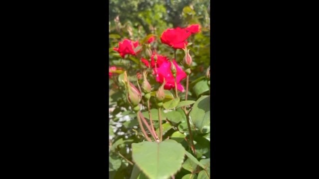 Spring 2023 Collection is Here!