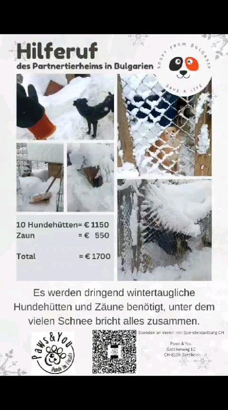 Es werden dringend wintertaugliche Hundehütten benötigt 🙏
paypal.me/pawsandyou
www.pawsandyou.ch/helfen