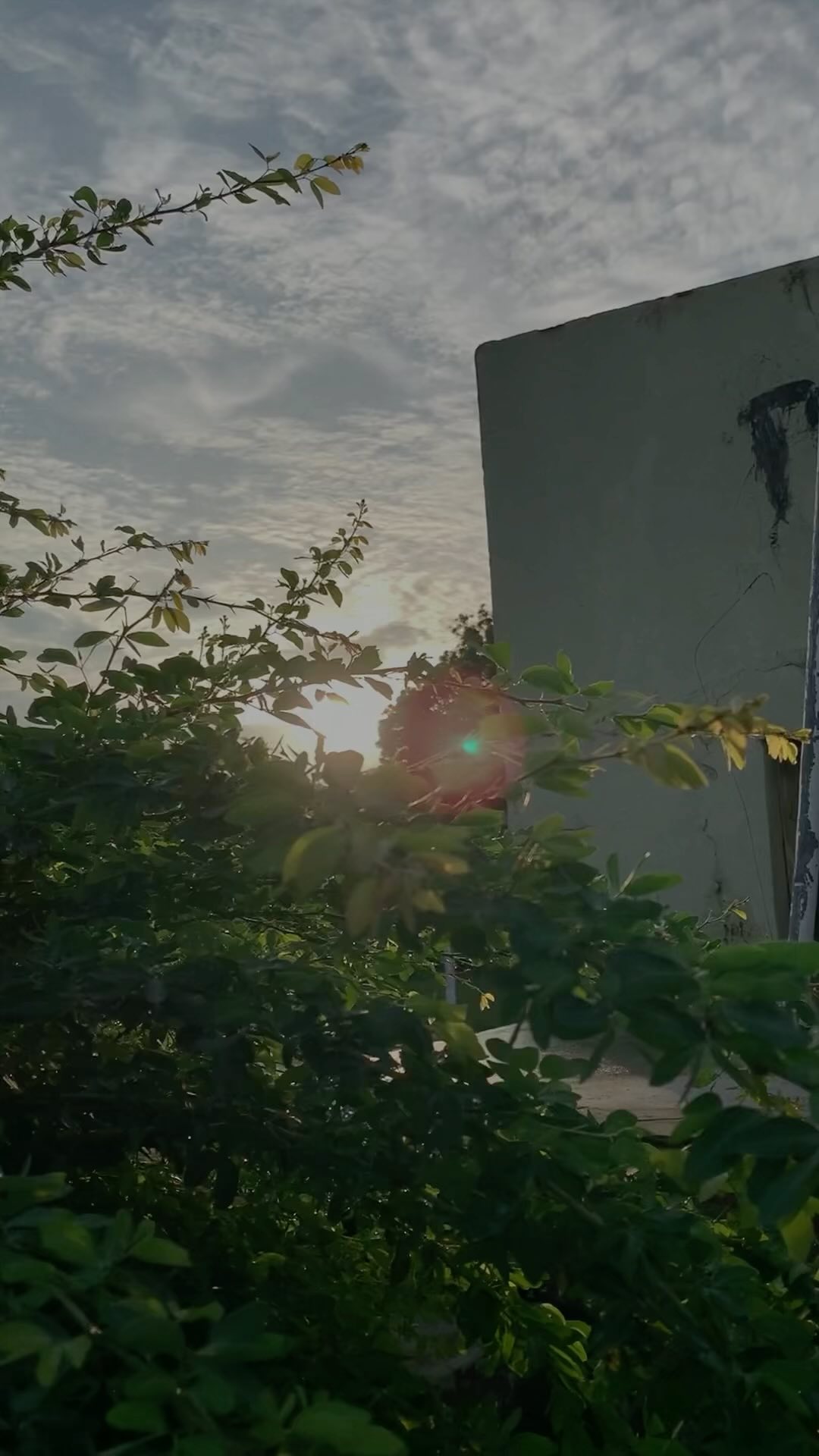 Event venue in the heart of Conshohocken! Dates are booking quickly! Inquire today by emailing leelandroom@gmail.com. Visit us on our website at leelandroom.com
#conshohockenpa #conshy #eventvenue #parties #philadelphia #booknow #bridalshower #babyshower #smallwedding #birthdayparties