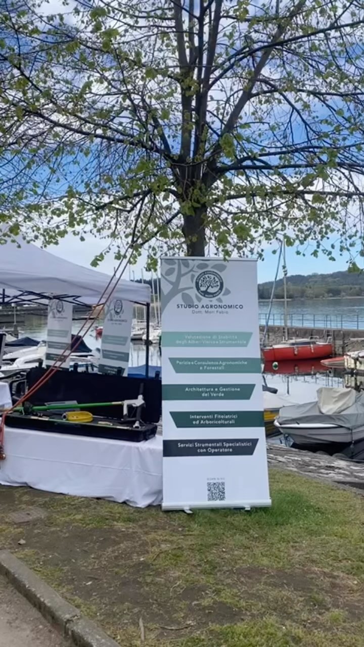 Vi aspettiamo!!😉🌳🌸